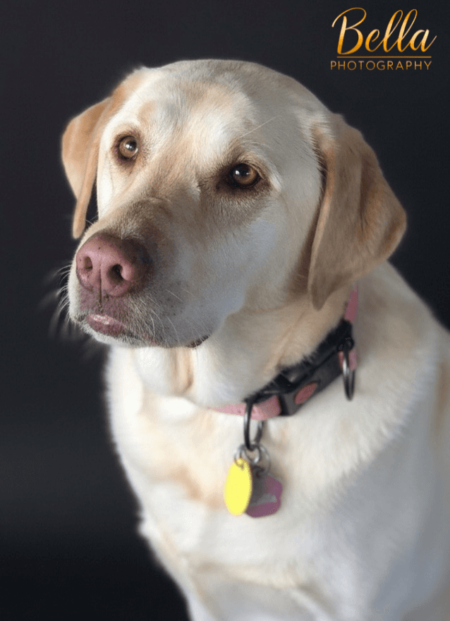 Bella Photography Services